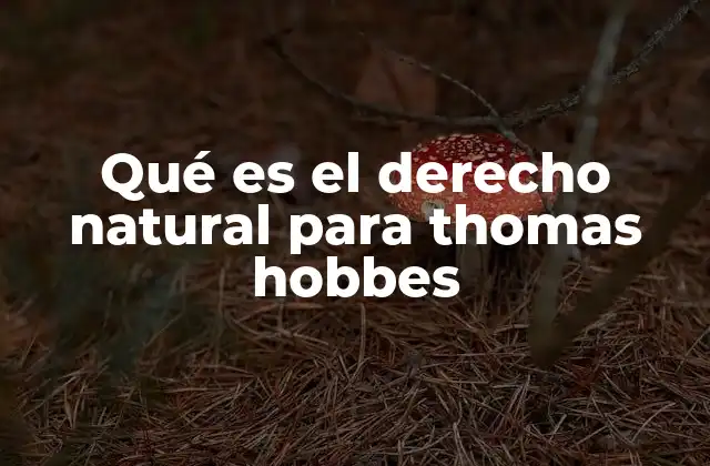 Qué es el Derecho Natural para Thomas Hobbes