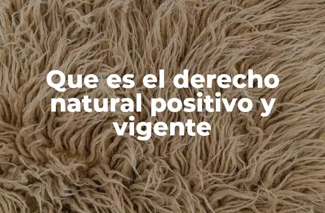 Que es el Derecho Natural Positivo y Vigente