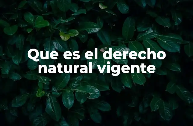 Que es el Derecho Natural Vigente