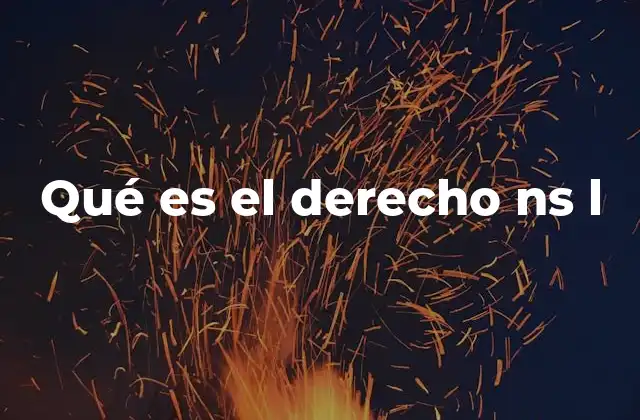 Qué es el Derecho Ns L