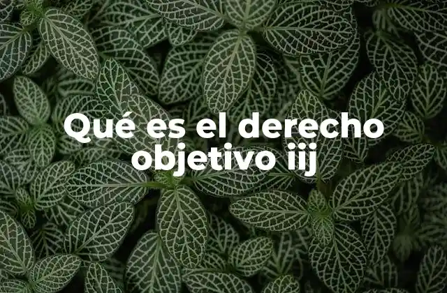 Qué es el Derecho Objetivo Iij