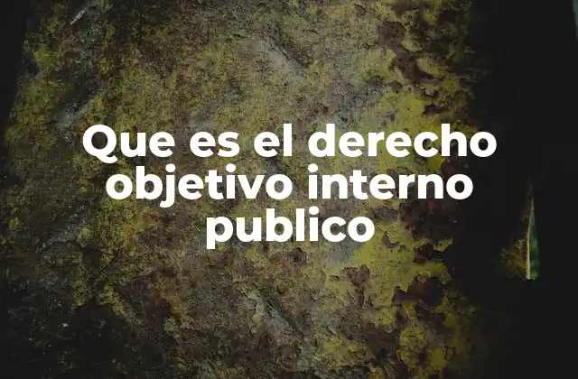 Que es el Derecho Objetivo Interno Publico