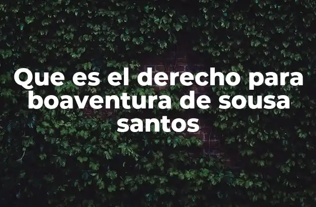 Que es el Derecho para Boaventura de Sousa Santos