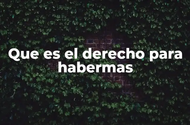 Que es el Derecho para Habermas