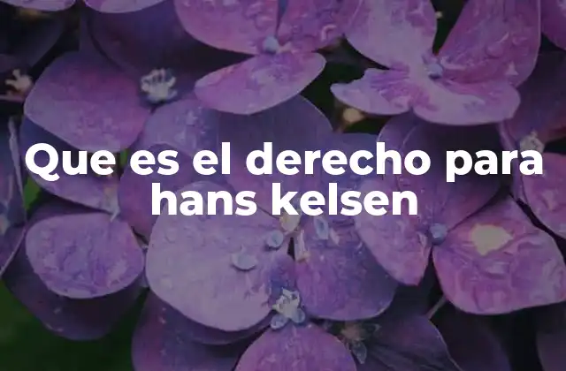 Que es el Derecho para Hans Kelsen