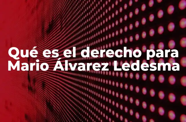 Qué es el Derecho para Mario Álvarez Ledesma