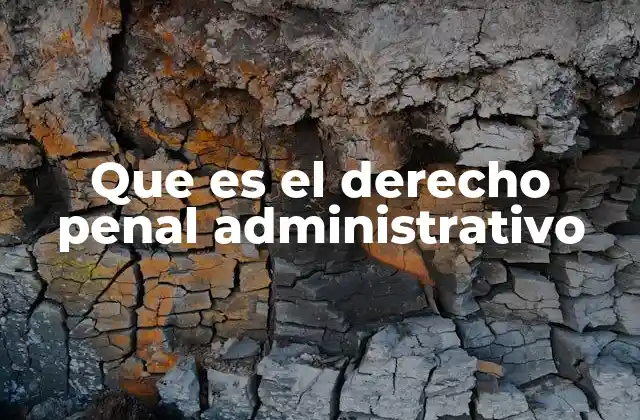 Que es el Derecho Penal Administrativo
