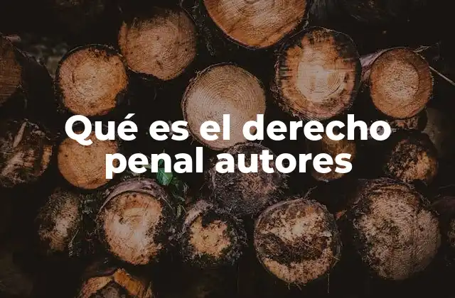 Qué es el Derecho Penal Autores