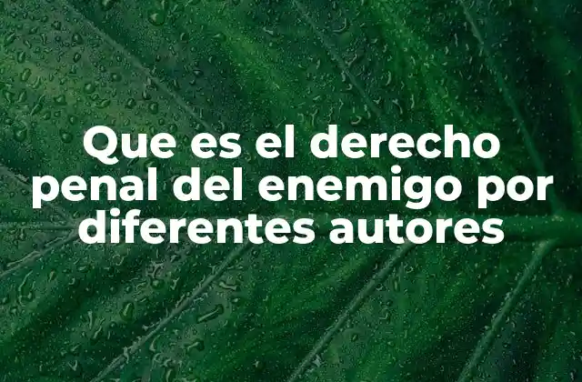 Que es el Derecho Penal Del Enemigo por Diferentes Autores