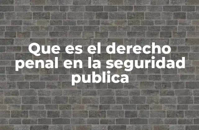 Que es el Derecho Penal en la Seguridad Publica