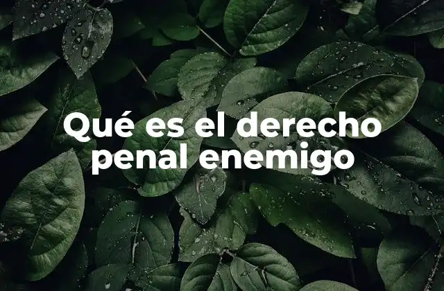 Qué es el Derecho Penal Enemigo