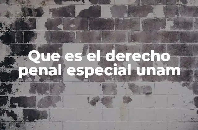 Que es el Derecho Penal Especial Unam