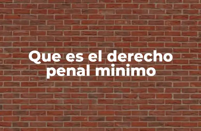 Que es el Derecho Penal Minimo