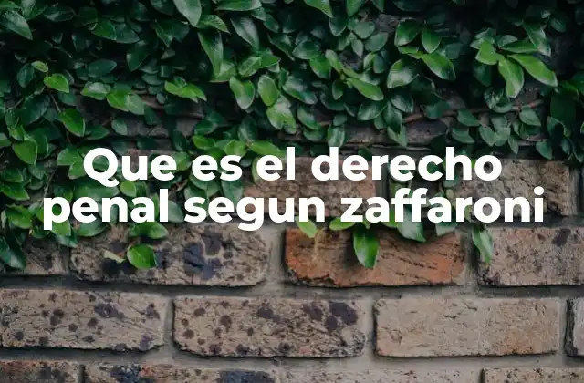 Que es el Derecho Penal Segun Zaffaroni