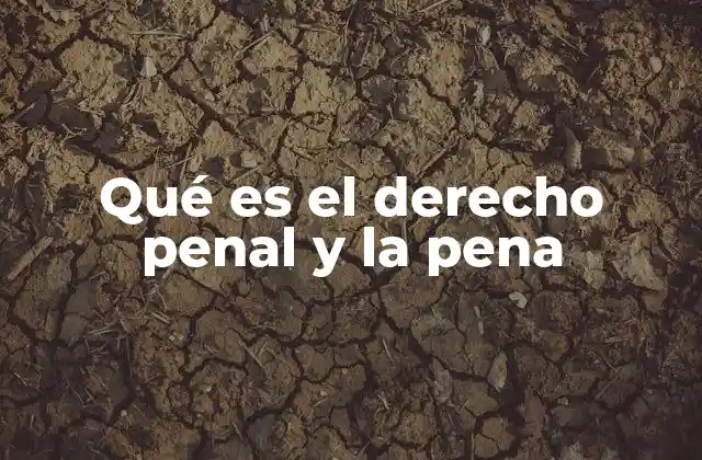 Qué es el Derecho Penal y la Pena