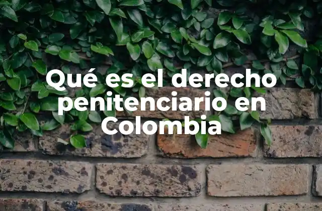 Qué es el Derecho Penitenciario en Colombia