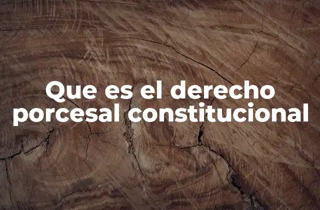 El papel del derecho procesal en la protección de los derechos fundamentales