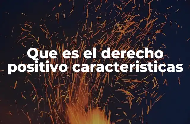 Que es el Derecho Positivo Caracteristicas