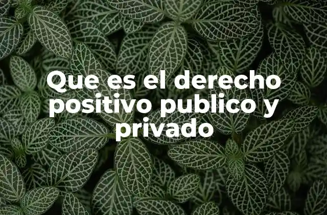 La importancia de distinguir entre derecho público y privado