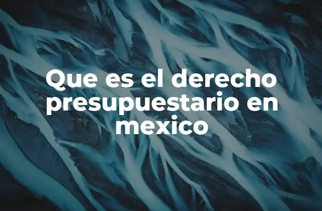 Que es el Derecho Presupuestario en Mexico