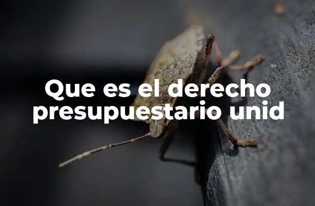 Que es el Derecho Presupuestario Unid