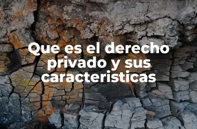 Las bases del derecho privado y su organización dentro del sistema legal