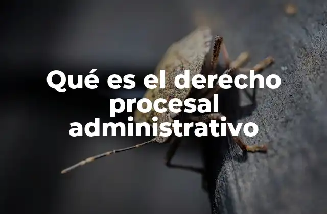 Qué es el Derecho Procesal Administrativo