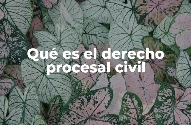 Qué es el Derecho Procesal Civil