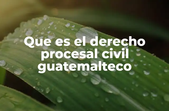 Que es el Derecho Procesal Civil Guatemalteco
