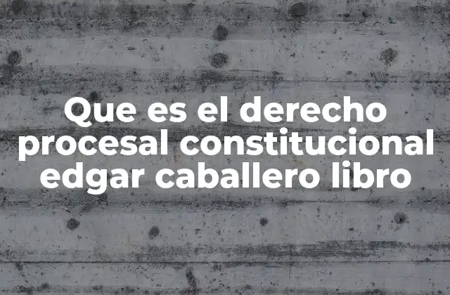 Que es el Derecho Procesal Constitucional Edgar Caballero Libro 2 El papel del derecho procesal constitucional en la protección de los derechos fundamentales