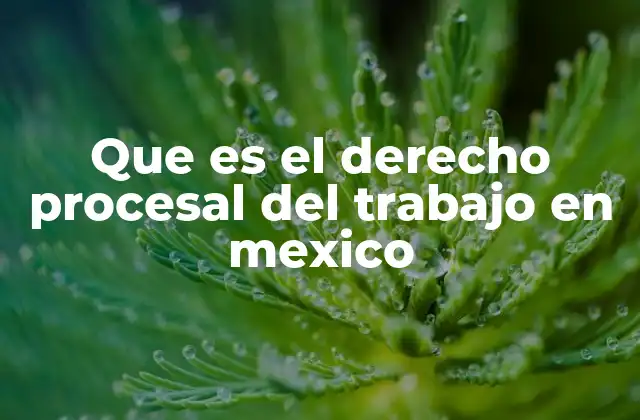 Que es el Derecho Procesal Del Trabajo en Mexico