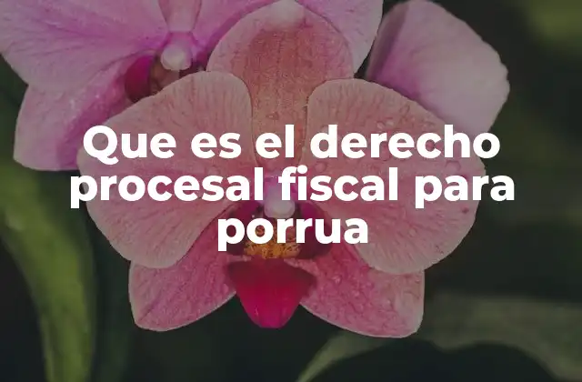 Que es el Derecho Procesal Fiscal para Porrua