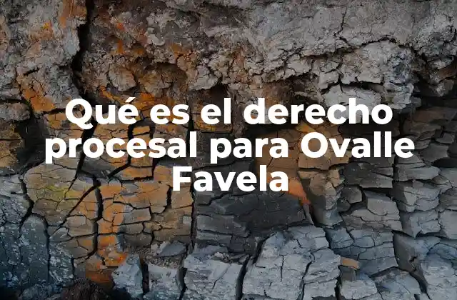 El enfoque crítico de Ovalle Favela sobre los códigos procesales