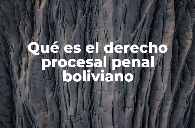 Qué es el Derecho Procesal Penal Boliviano