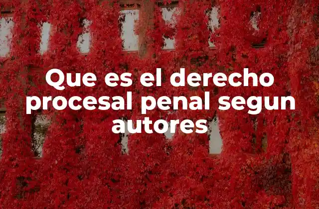 Que es el Derecho Procesal Penal Segun Autores