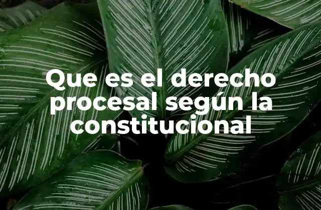 Que es el Derecho Procesal según la Constitucional