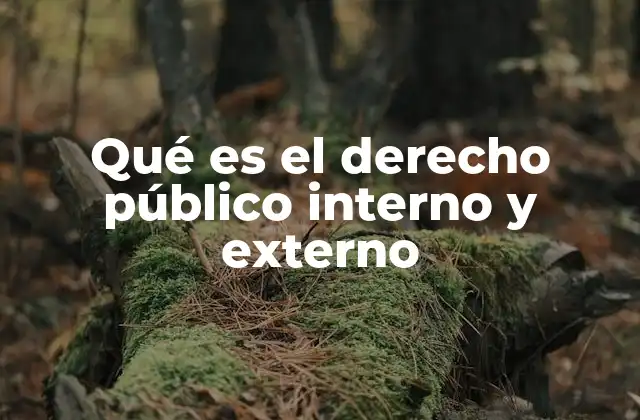 Qué es el Derecho Público Interno y Externo