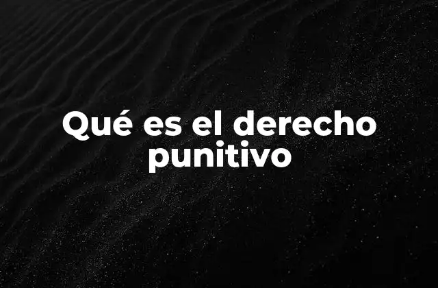 Qué es el Derecho Punitivo