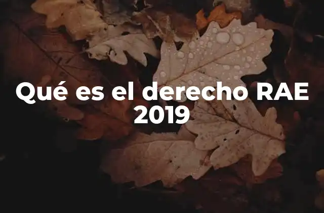 Qué es el Derecho Rae 2019