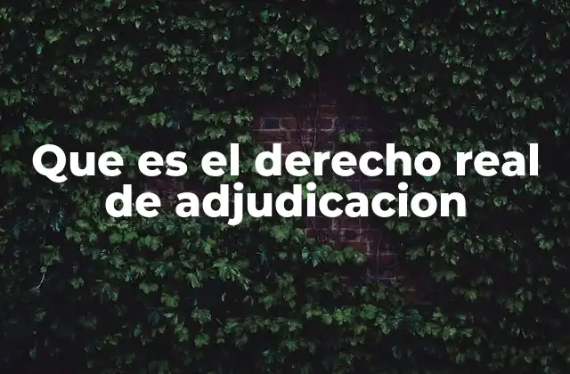 Que es el Derecho Real de Adjudicacion
