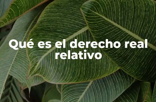 Qué es el Derecho Real Relativo