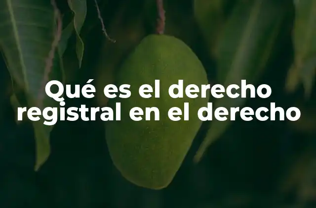 Qué es el Derecho Registral en el Derecho