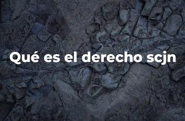 Qué es el Derecho Scjn