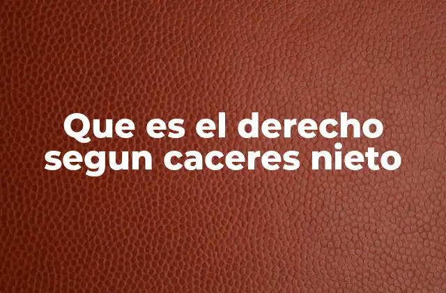 Que es el Derecho Segun Caceres Nieto