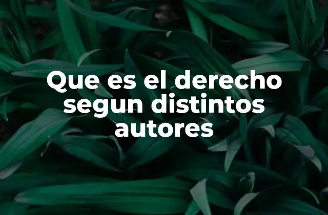 Que es el Derecho Segun Distintos Autores