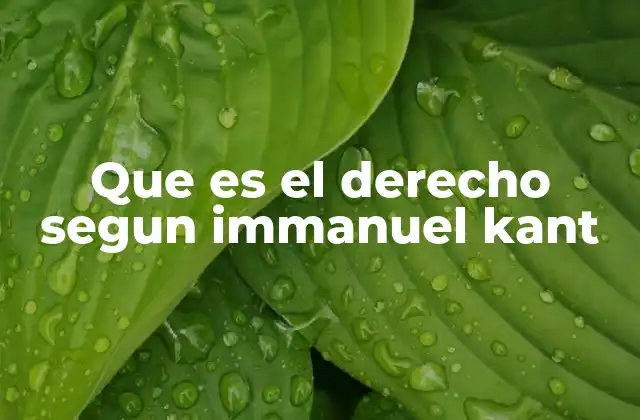 Que es el Derecho Segun Immanuel Kant