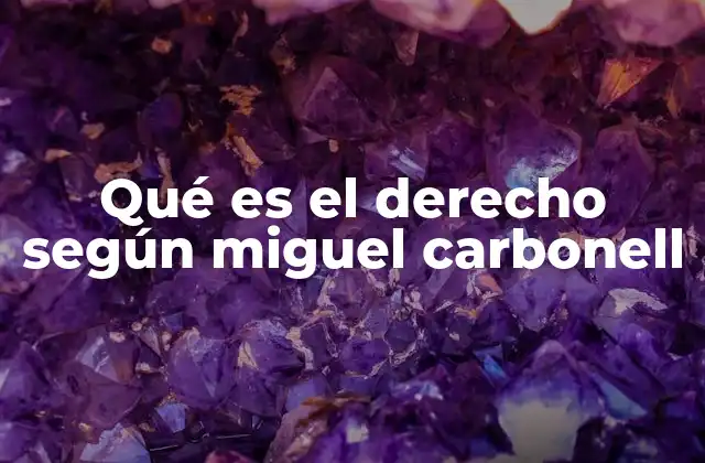 Qué es el Derecho según Miguel Carbonell
