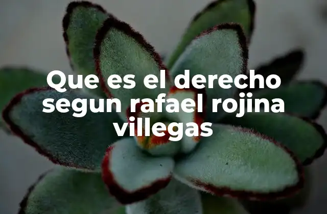 Que es el Derecho Segun Rafael Rojina Villegas