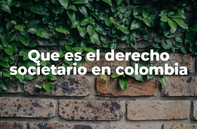 Que es el Derecho Societario en Colombia