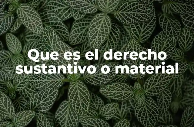 Que es el Derecho Sustantivo o Material 2 La importancia del derecho sustantivo en el ordenamiento legal